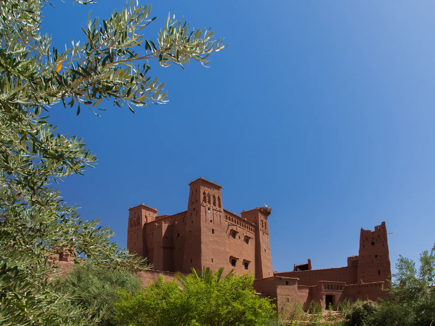 Aït Benhaddou above the Ounila valley and palm groves